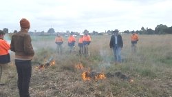 Cool cultural burn at Bababi Djinanang July 2019