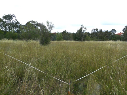 3 Good Quality 1213 small