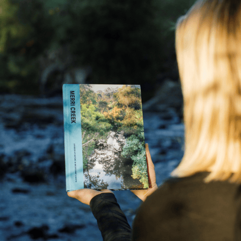 Ribbons of Nature book