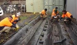 6 Planting garden2 16 7 19