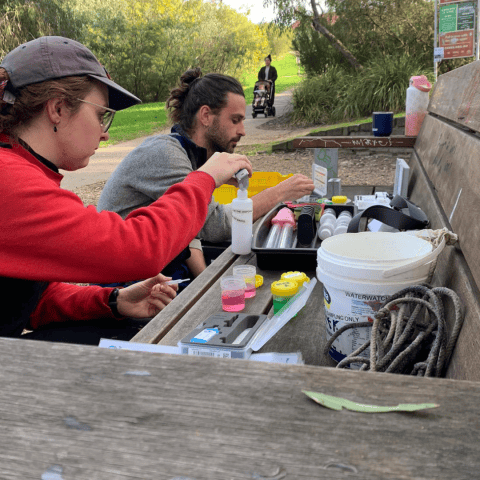 WaterWatch volunteers the Merri Mayflies