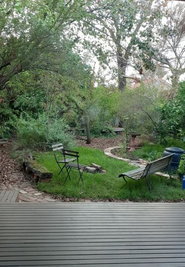 Backyard gardening by Angela Foley MCMC 380px