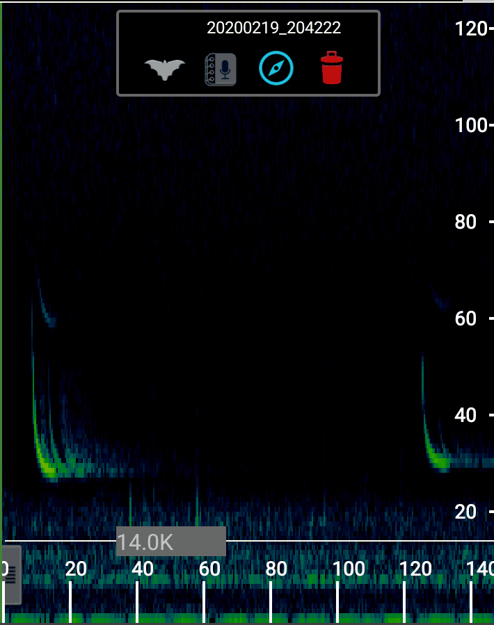 Bat detector spectogram