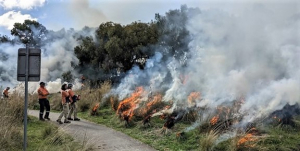 Burn at Ngarri djarrang