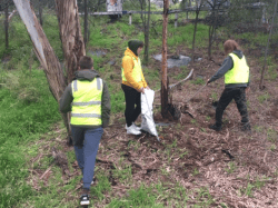 Fitzroy High Litter Clean up