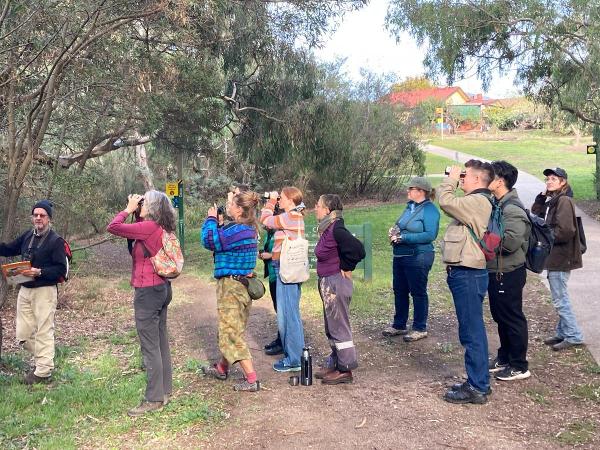 FoMC birdwatching