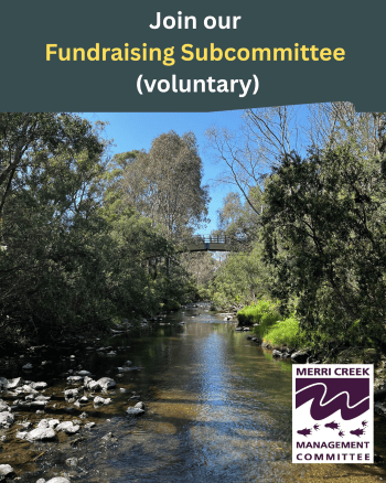 Fundraising Subcommittee voluntary 300x400px