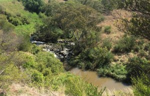 Galada from high2 RR