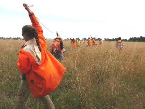 Gorse Phalaris mapping