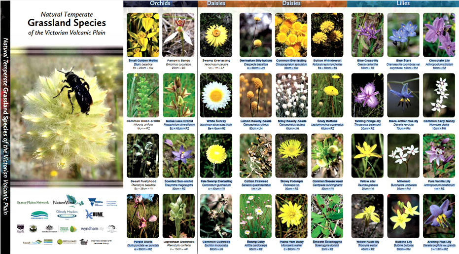 Grassland leaflet screenshot