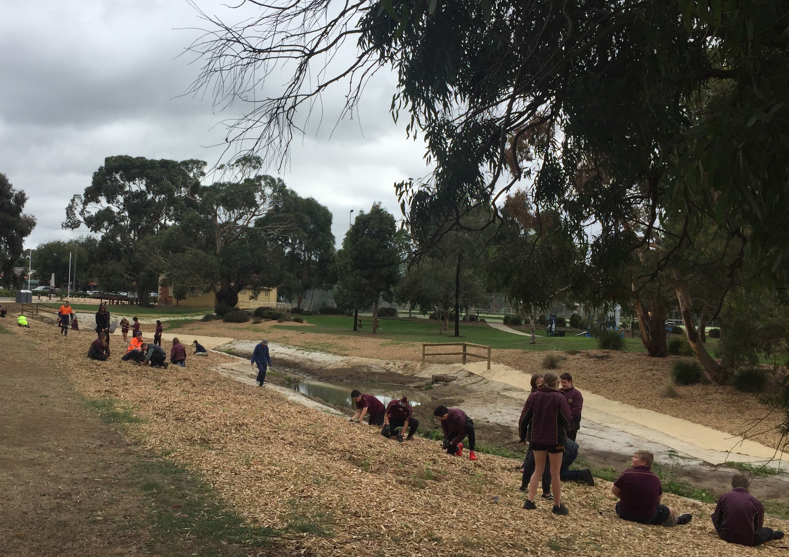 Hadfield Park 2022 planting day 4