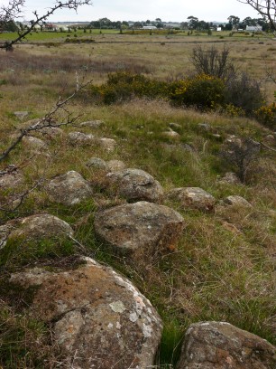 Kalkallo stony knoll