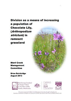 division as a means of increasing a population of chocolate lily