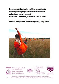 gorse monitoring in native grassland