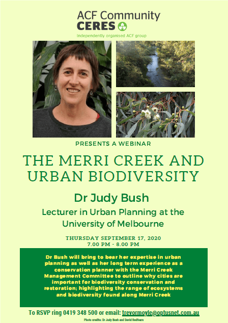 Dr Judy Bush Webinar snapshot