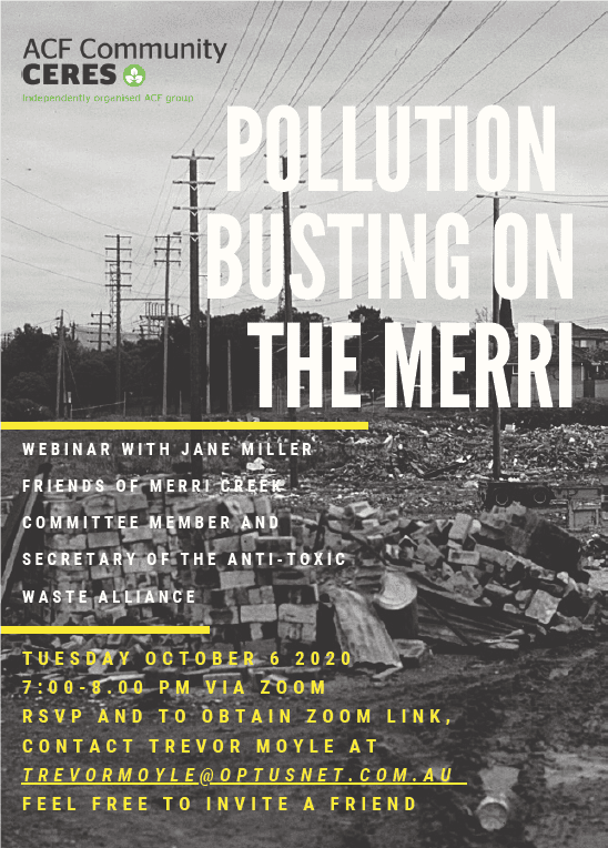 Jane Miller Webinar snapshot