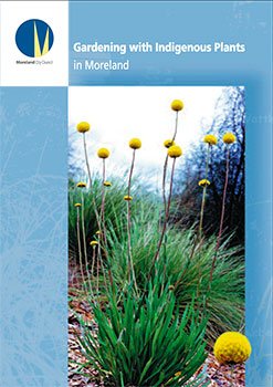 gardening with indigenous plants in Moreland