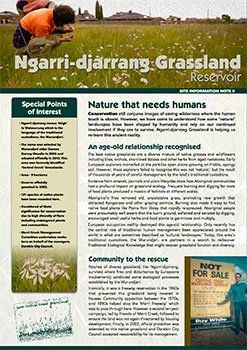 Ngarri djarrang grassland reservoir