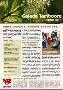 galada tamboore