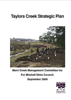 Taylors Creek Strategic Plan