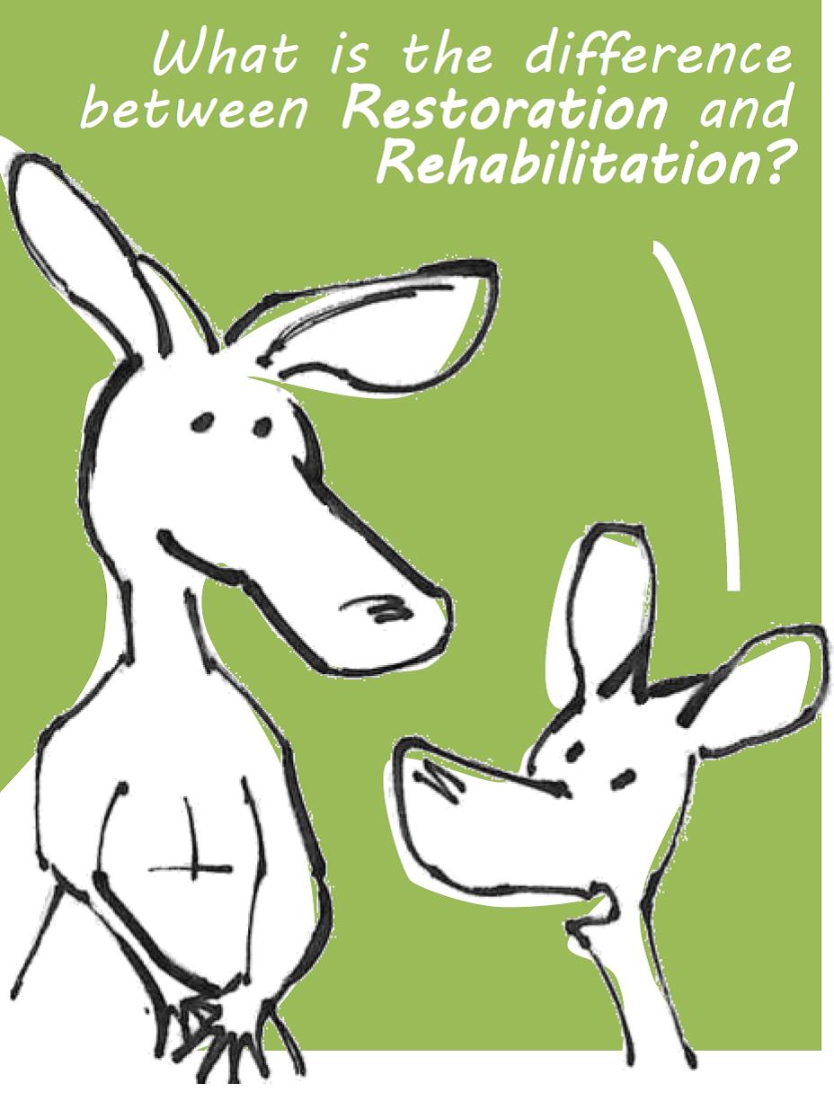 What is the difference between Restoration and Rehabilitation?