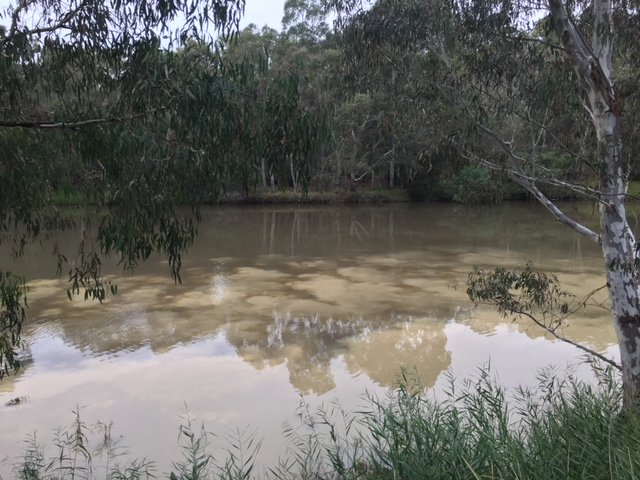 Merri Yarra confluence mixing small