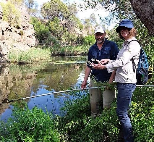 MerriCreekWQsensorsGaladaTamboore2021