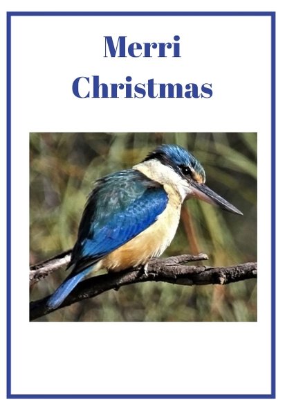 Merri Christmas card 2019