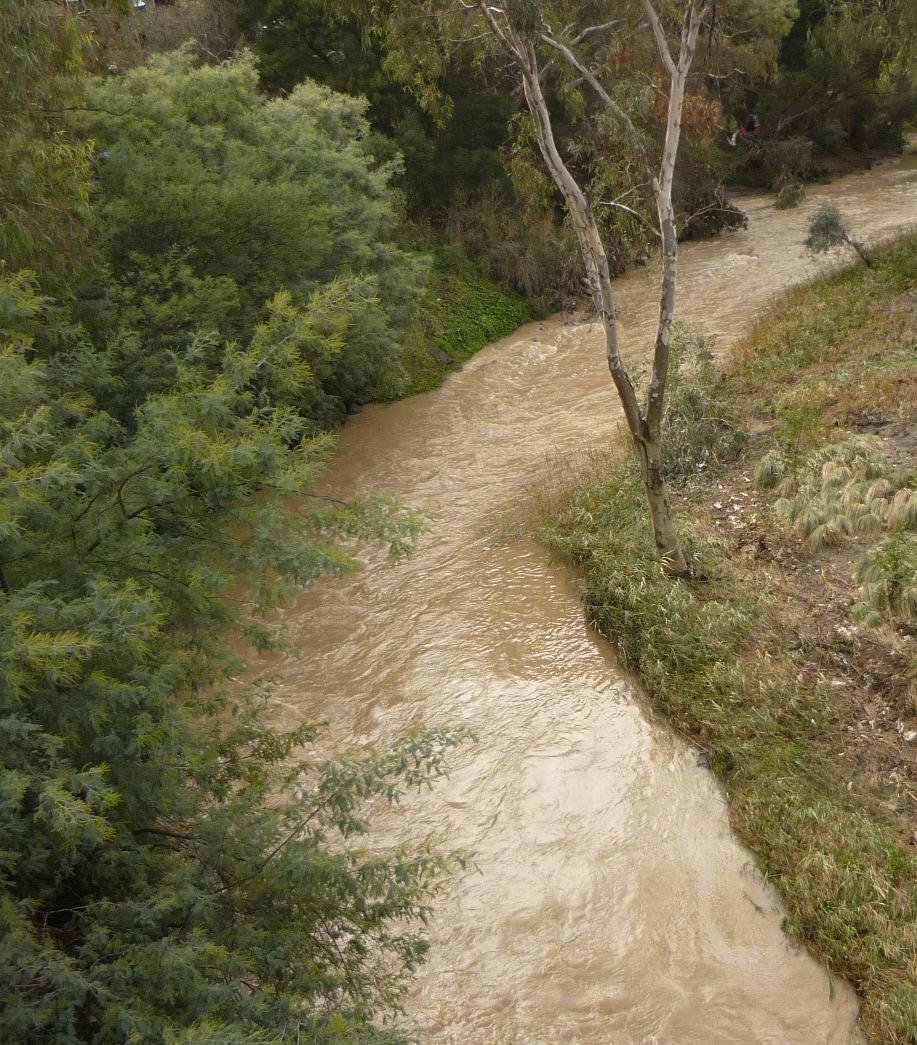 Merri Creek turbidity Blyth St, 20 June 2018 