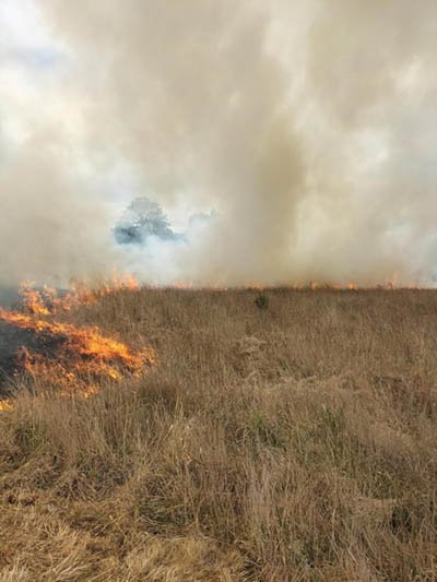 Amberfield Grasslands burn