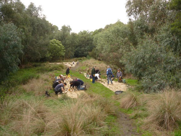 Merri Park Wetland planting May 2014