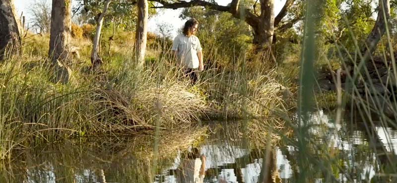 Ecologist Michael Longmore studies Growling Grass Frog habitat on the Merri Creek