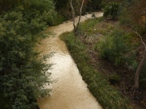 Muddy Merri upstream from Blyth St bridge
