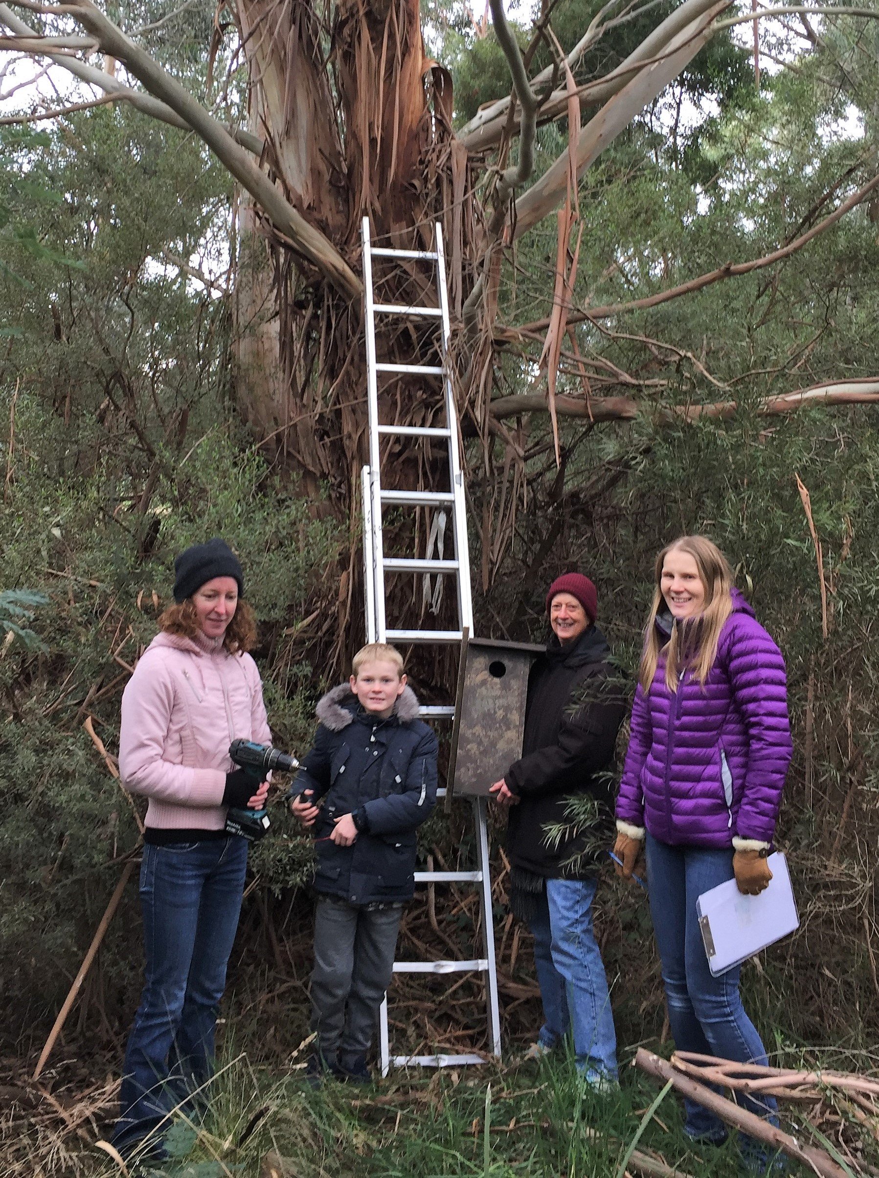 Nest Boxes Wallan Park WEG and Scouts