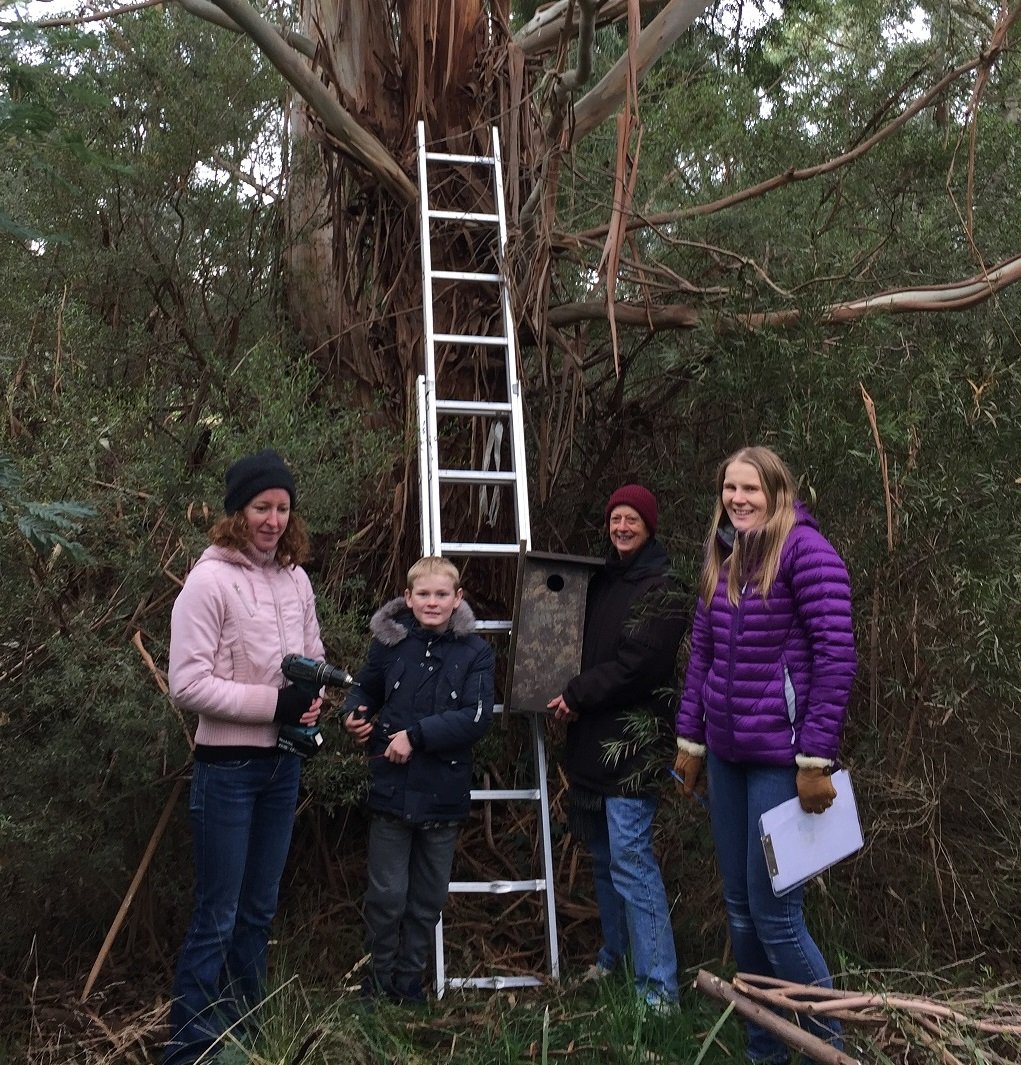 Nest Boxes Wallan Park WEG and Scouts1