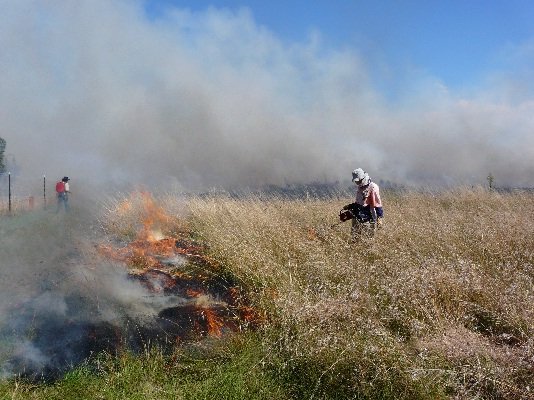 Ngarri burn 2011