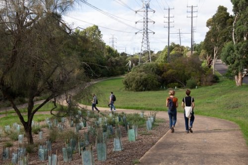 People using Merri path