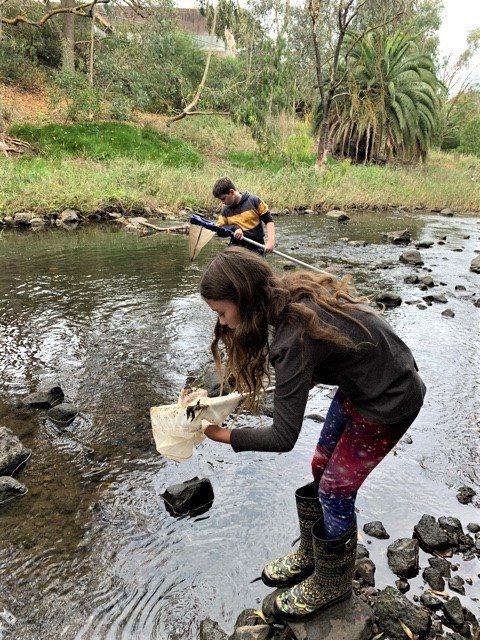 Platypus presentation3 2 5 21