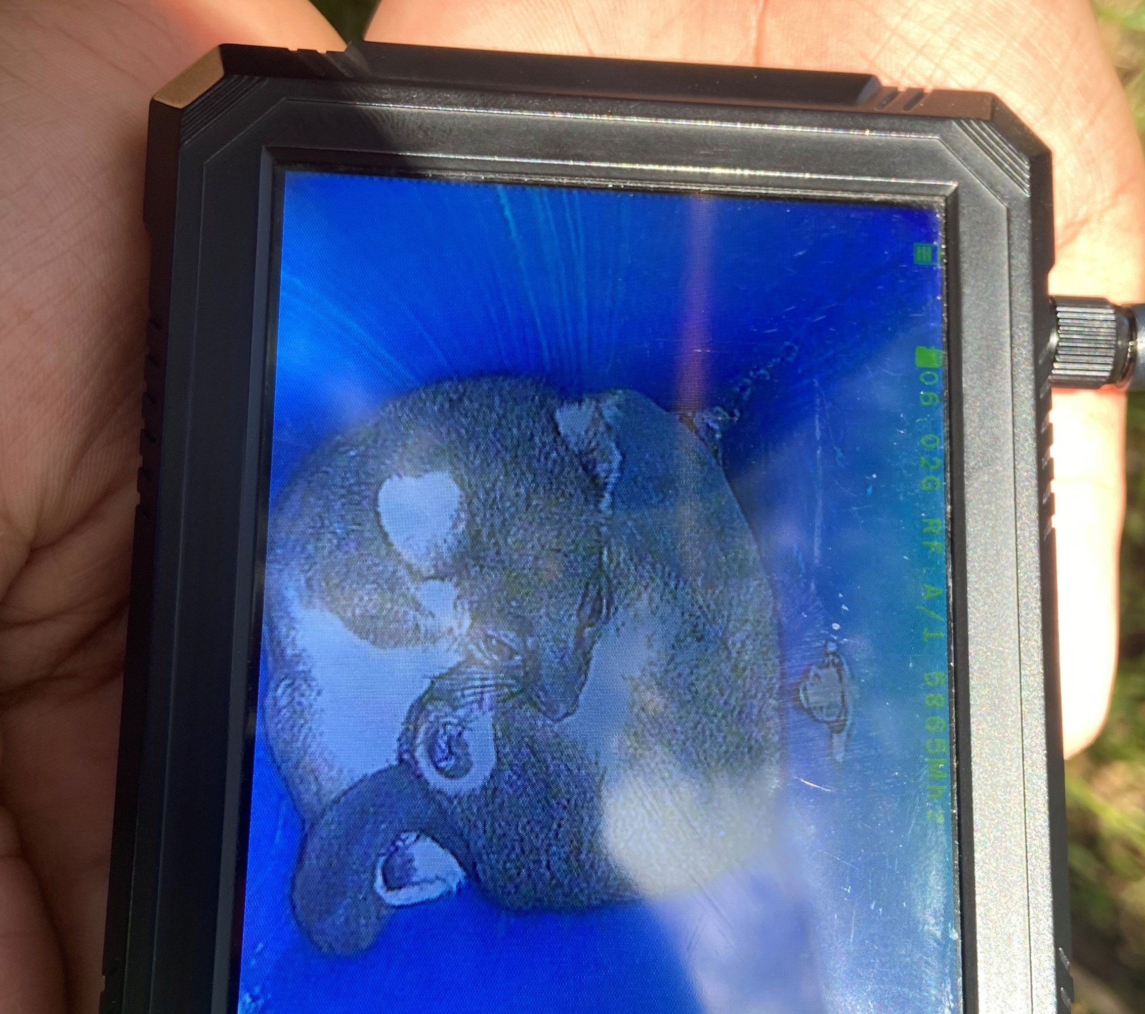 RTPs in NB at Wallan CP