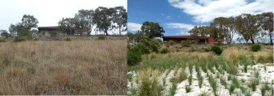 Rushwood Drive before after small