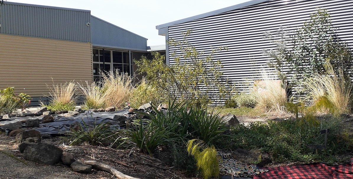 School Indigenous garden