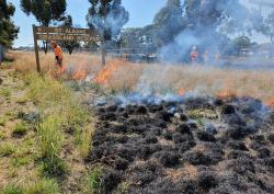 St Albans Grassland burn