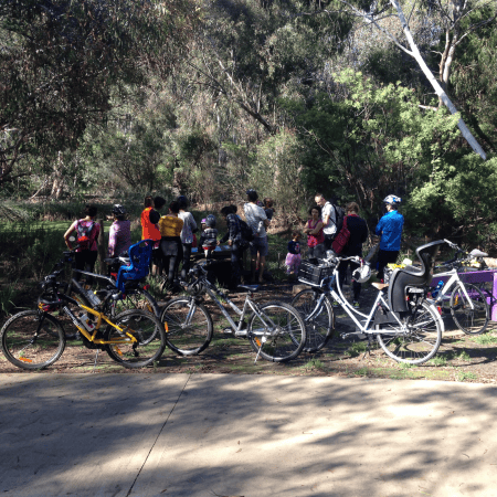 Swamp Wallaby Slow Bike Tour v3