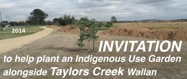 Taylors Ck 2014 WEG planting day invitation1