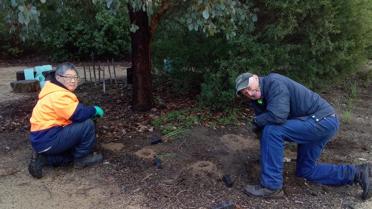 Taylors Ck 2022 WEG planting day 1