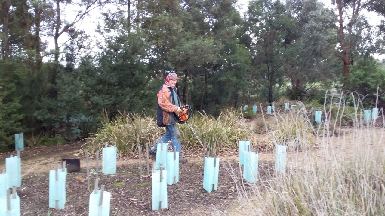 Taylors Ck 2022 WEG planting day 2
