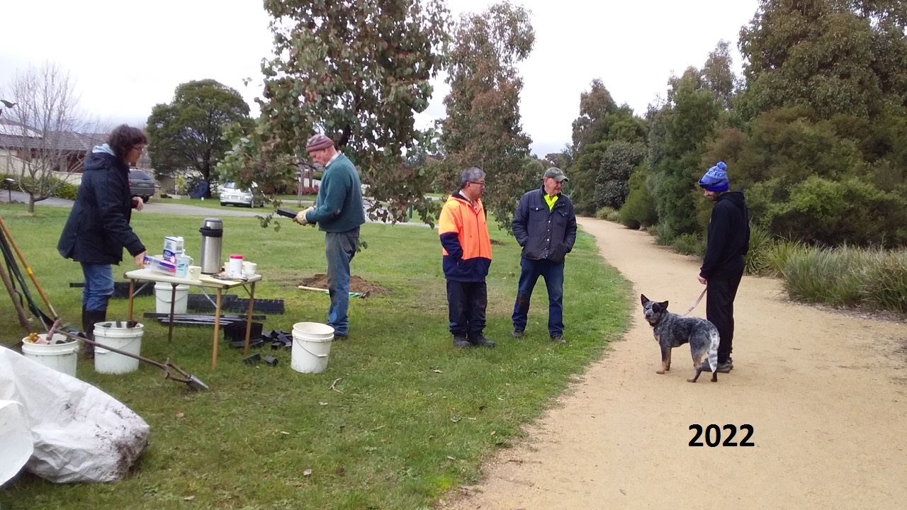 Taylors Ck 2022 WEG planting day 6