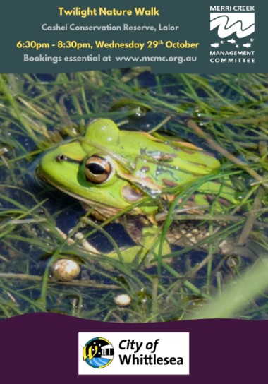 Twilight Nature Walk