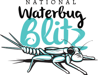 Waterbug Blitz logo