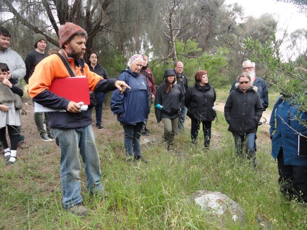 WildPollinationCount